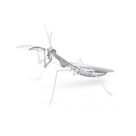 Insectos MetalEarth: MANTE 12x9x4cm, metal modelo 3D con 1 hoja, sobre tarjeta 12x17cm, 14+