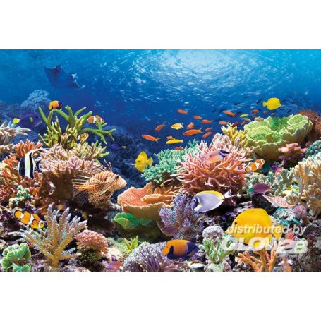 Puzzle Puzzle Coral Reef Fishes, rompecabezas de 1000 piezas