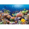 Puzzle Puzzle Coral Reef Fishes, rompecabezas de 1000 piezas