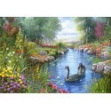 Cisnes Negros, Andres Orpinas, Puzzle 1500 T Cisnes Negros, Andres Orpinas, Puzzle 1500 T