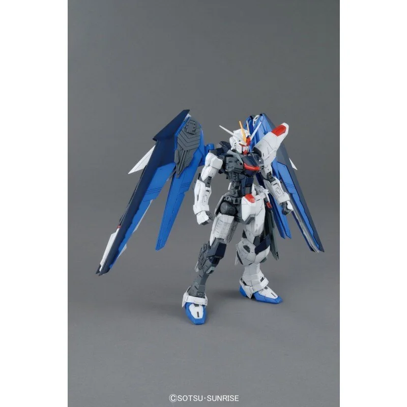 Gunpla MG 1/100 FREEDOM GUNDAM Ver.2.0