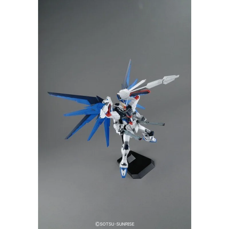 Gunpla MG 1/100 FREEDOM GUNDAM Ver.2.0