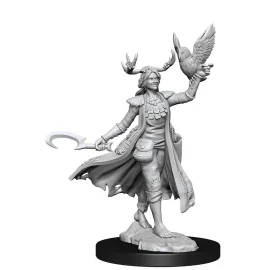 Juegos de rol: miniaturas Dungeons & Dragons Frameworks modelo en miniatura Human Druid Female