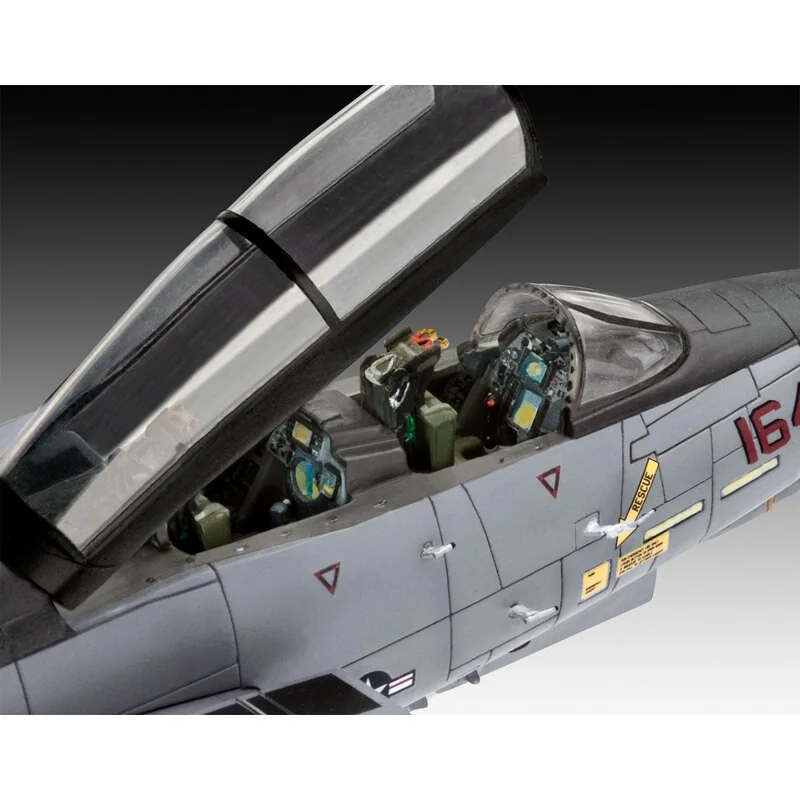 Grumman F-14D Tomcat estupendo