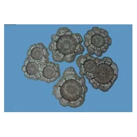 painted shell/bomb craters