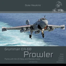 Merodeador Grumman EA-6B