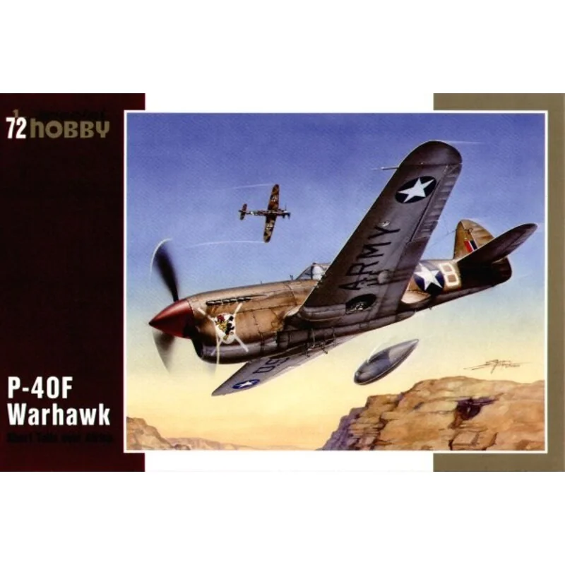 Curtiss P-40F Warhawk with Merlin engine Curtiss P-40F Warhawk with Merlin engine