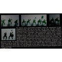 Dacian Cavalry Dacian Cavalry