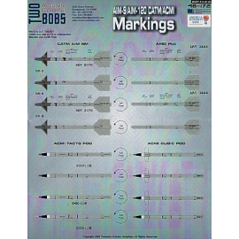 Markings for AIM-9/AIM-120 CATM/ACMI Missiles