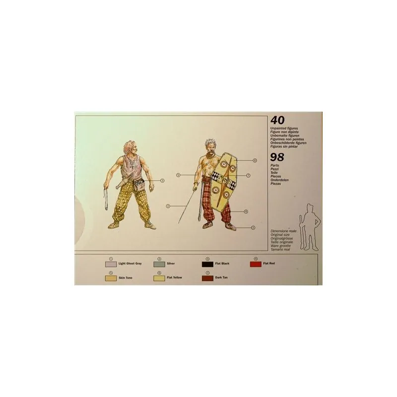 Guerreros galos I / II siglo antes de Cristo. JC.