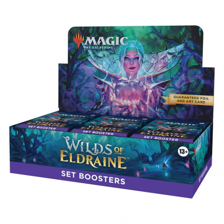  Wizards of the Coast 24680001
