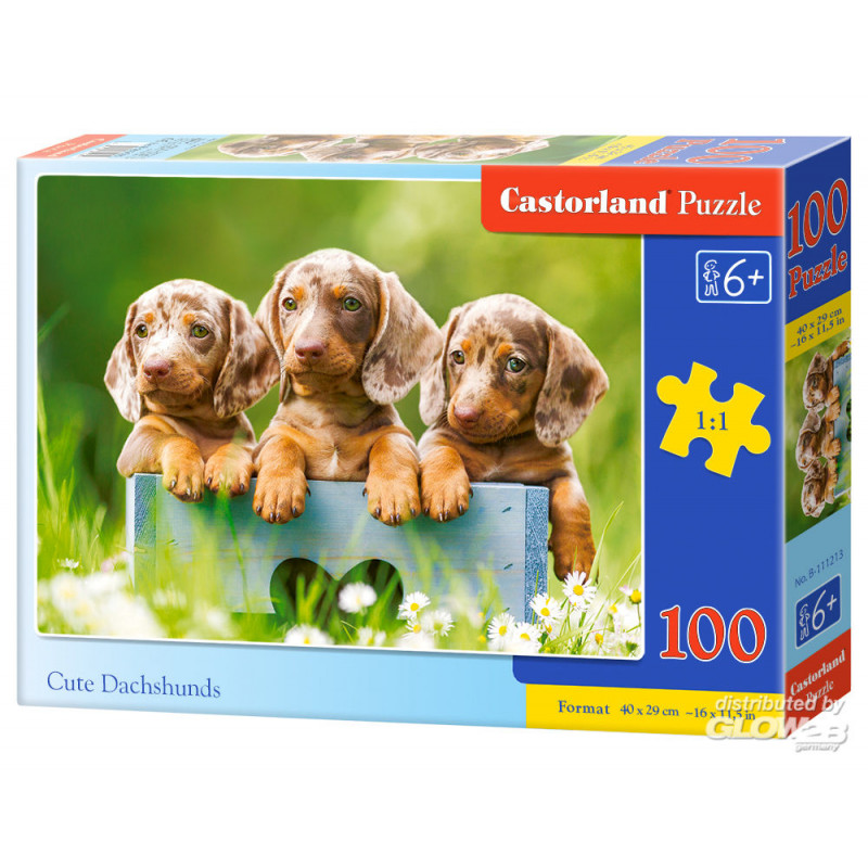  Cute Dachshunds, 100 Piece Puzzle