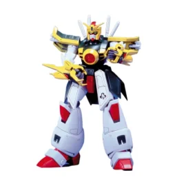 Gunpla Gundam NG 1/100 Dragon Gundam