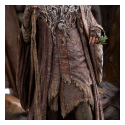 The Lord of the Rings statuette 1/6 Radagast in Rhosgobel Limited Edition 43 cm The Lord of the Rings statuette 1/6 Radagast in Rhosgobel Limited Edition 43 cm