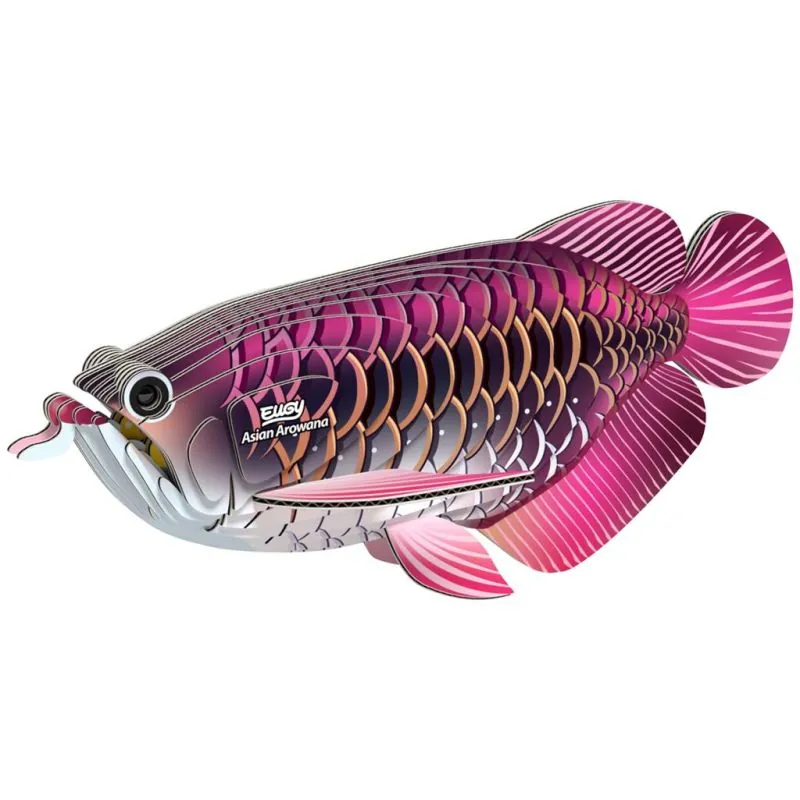 Maqueta EUGY 3D - Dragon Fish