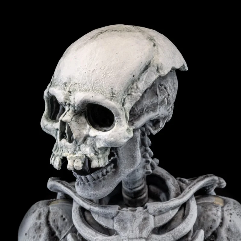 Graveyard Skeletons pack 4 figures