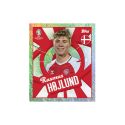 UEFA EURO 2024 Sticker Collection with display stickers (100)
