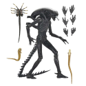 Figuras Alien: Romulus - Ultimate Xenomorph XX121 18 cm action figure