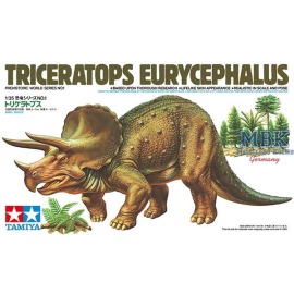  Triceratops Eurycephalus