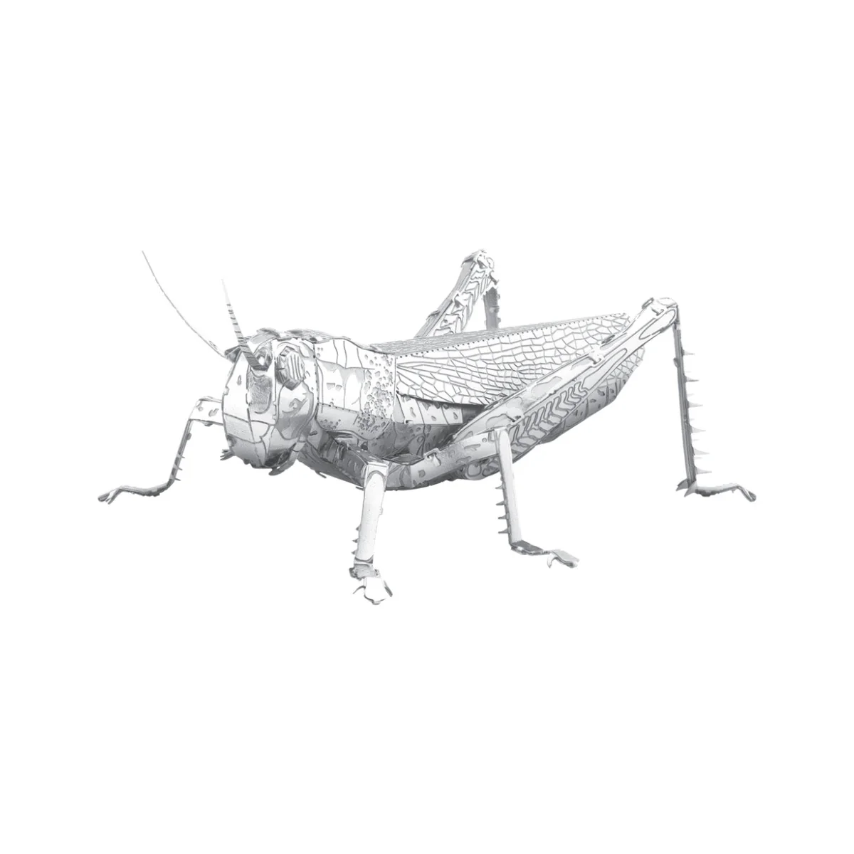  Animales de MetalEarth: SALTAMONTES 7,62x5,75x3,3cm, modelo 3D de metal con 1 hoja, en cartulina de 12x17cm, 14+