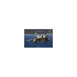  Dassault Super Etendard DH-038 is a 116 page book on the Dassault Super Etendard. This book shows every detail of the compact j