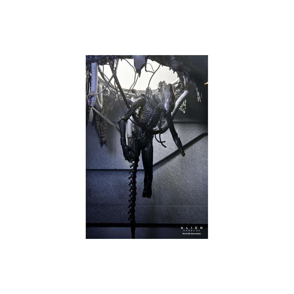 Figuras Alien: Romulus Deluxe Suspended Lab Xenomorph XX121 18 cm Figure