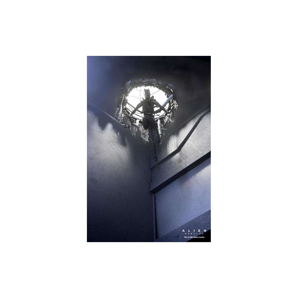 NECA Alien: Romulus Deluxe Suspended Lab Xenomorph XX121 18 cm Figure