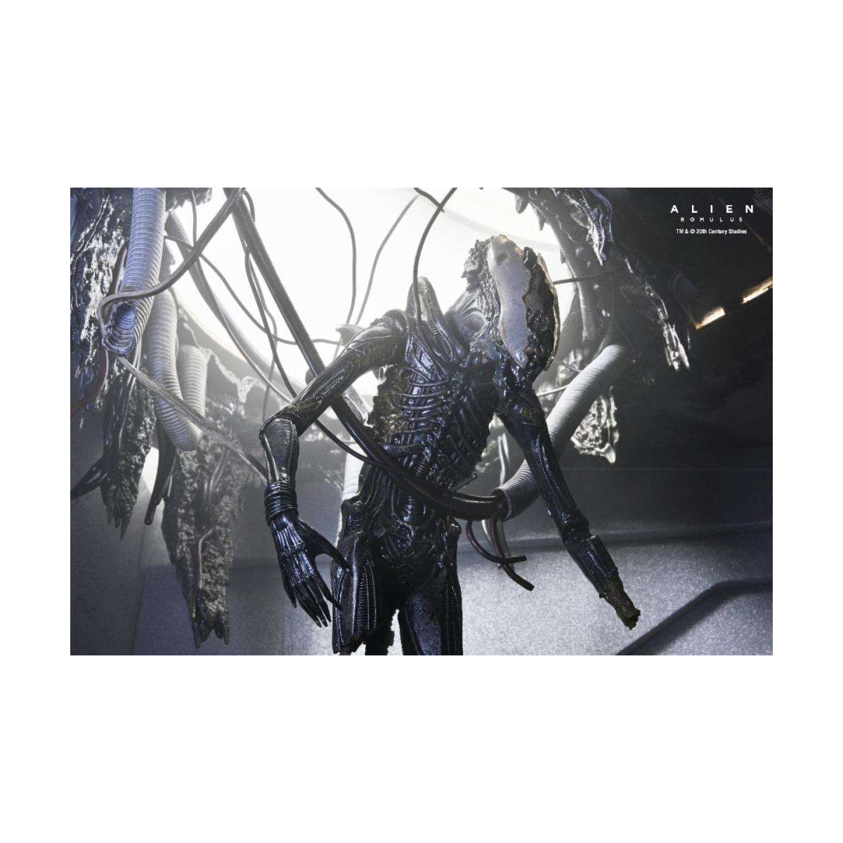 CO-106632 Alien: Romulus Deluxe Suspended Lab Xenomorph XX121 18 cm Figure