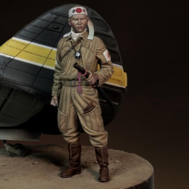  Royal Model: 1/48; Japanese pilot WWII