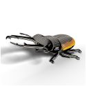  Eugy 3D Model: FOREST ANIMAL / BEETLE LUCANIDAE 12.8x8.7x5.2cm