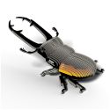 DA-5314114 Eugy 3D Model: FOREST ANIMAL / BEETLE LUCANIDAE 12.8x8.7x5.2cm