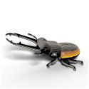 Eugy 3D Model: FOREST ANIMAL / BEETLE LUCANIDAE 12.8x8.7x5.2cm