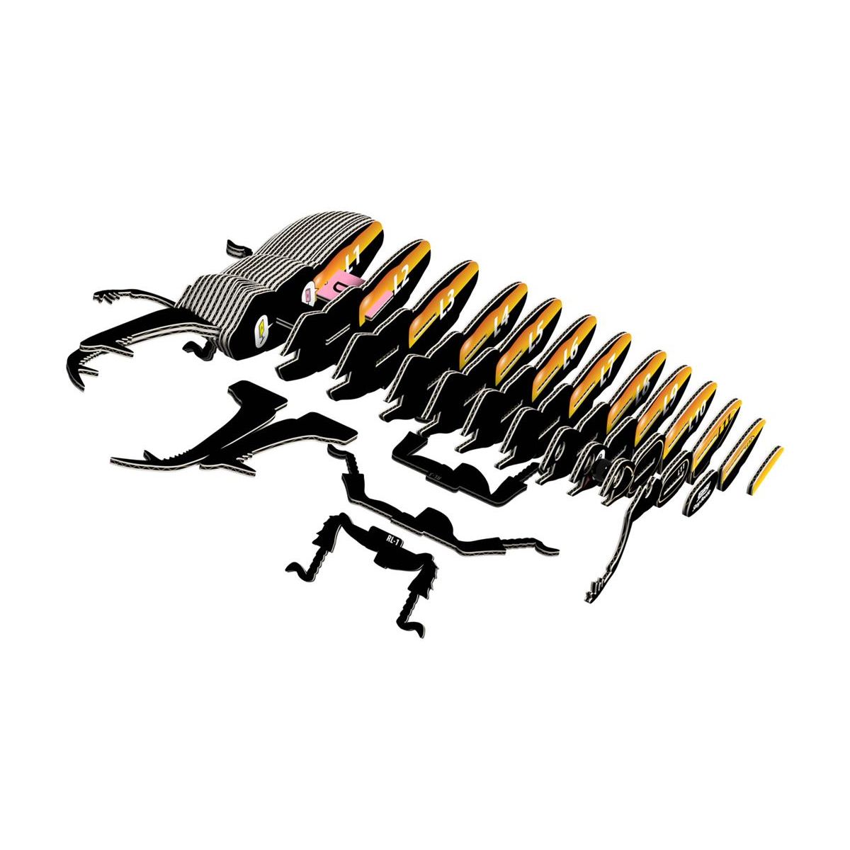 Eugy 3D Model: FOREST ANIMAL / BEETLE LUCANIDAE 12.8x8.7x5.2cm