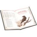 Edge Entertainment The One Ring RPG: Moria Beyond the Gates of