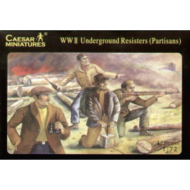 WWII Underground Resistance