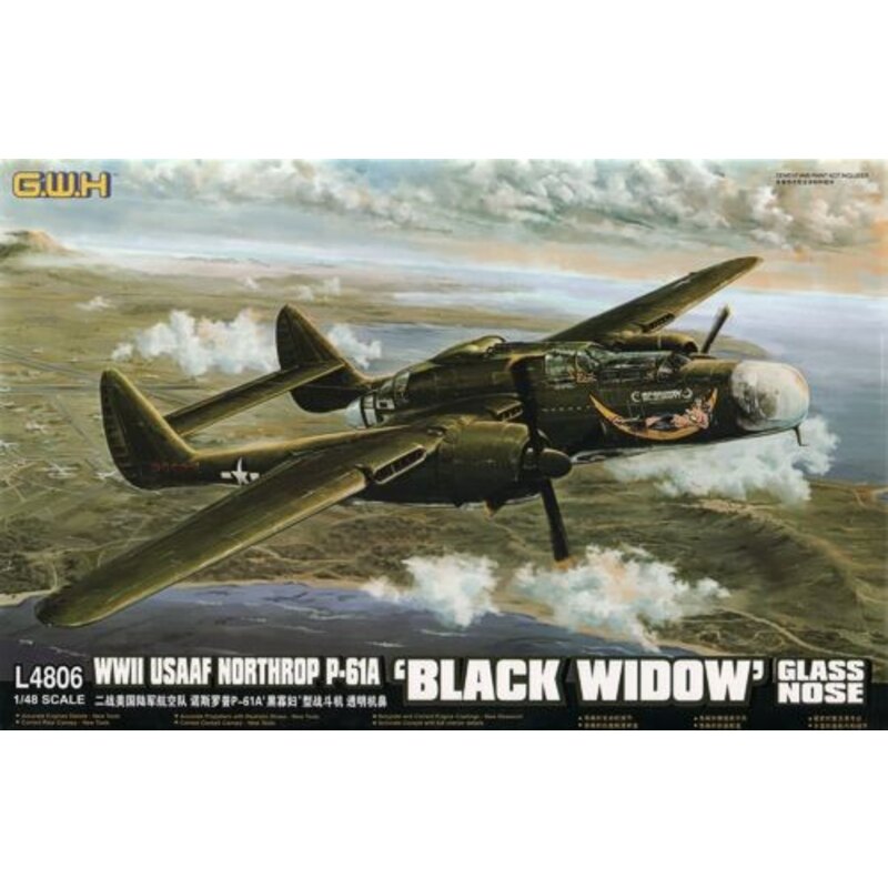 Northrop P-61A Black Widow with Glass Nose Northrop P-61A Black Widow with Glass Nose