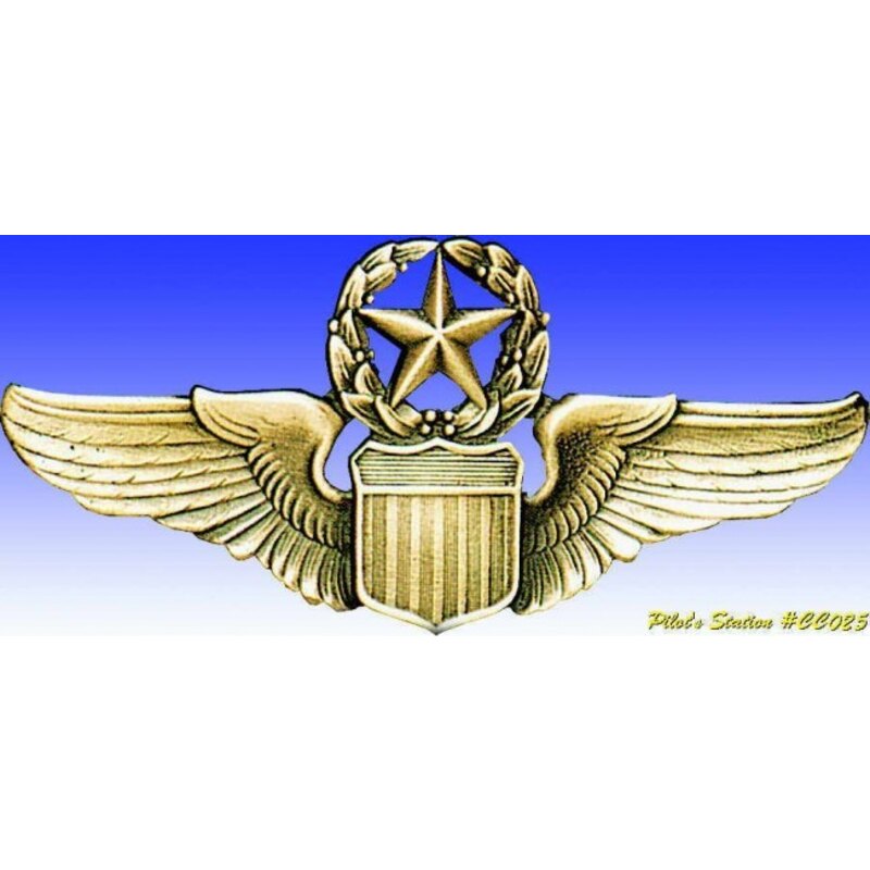 USAF Command Pilot wings USAF Command Pilot wings