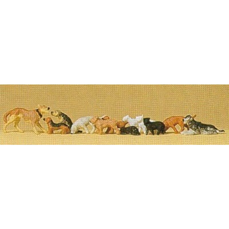 Perros y gatos
