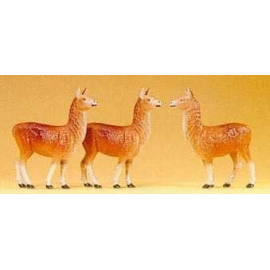 Lamas