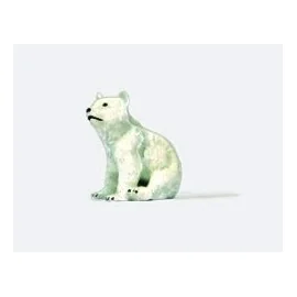 Joven oso polar
