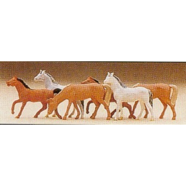 Caballos