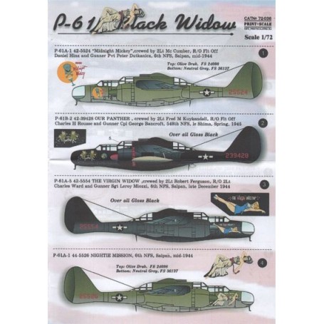  Calcomanía Northrop P-61 Black Widow