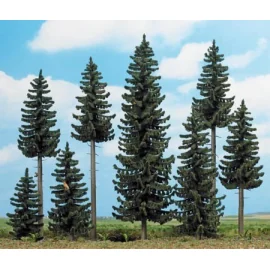 Bosque del abeto