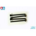 Eje del tornillo 3x46mm