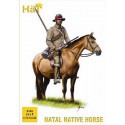 Zulu Wars. Natal Native Horse Zulu Wars. Natal Native Horse
