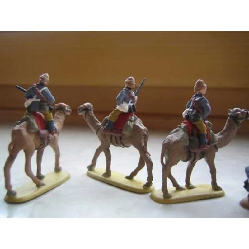 British Camel Corps