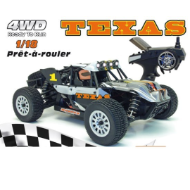 TEJAS Buggy RTR EP