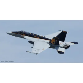 McDonnell-Douglas F / A-18E VFA-115 Eagles CAG 2015